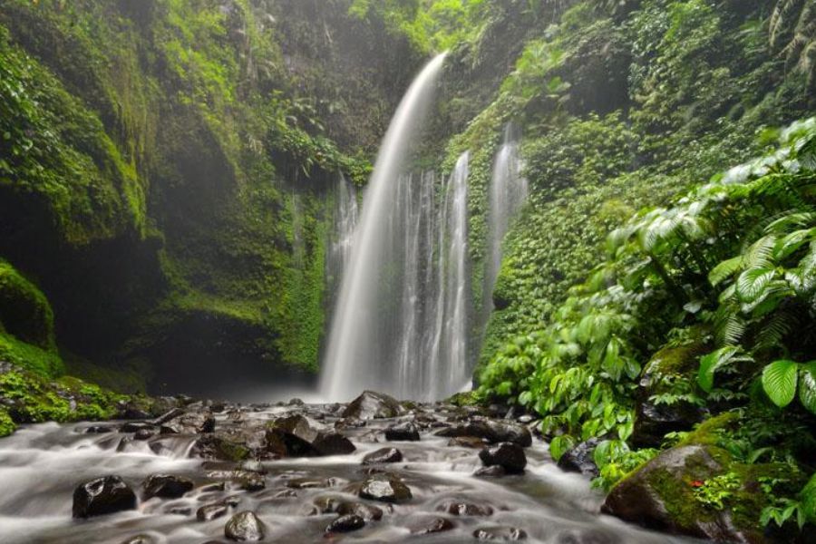 Sendang Gile & Tiu Kelep Waterfall